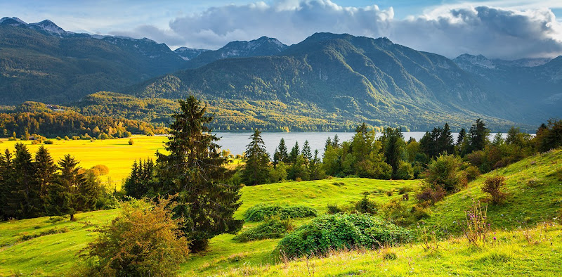 Progressive Neurology & Sleep Medicine Associates